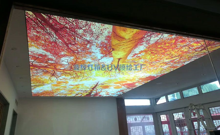 軟膜天花